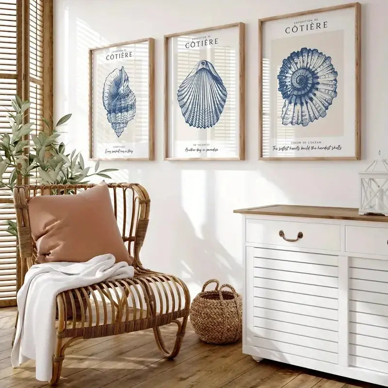 Coastal shell art prints in wooden frames, beach decor for living room walls